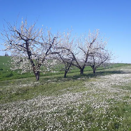 Ferme En Pleine Campagne Ferienhaus