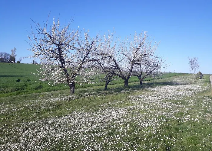 Ferme En Pleine Campagne Дом отдыха