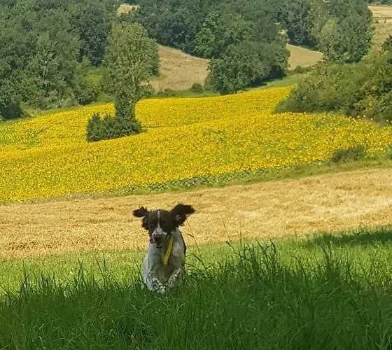 Ferme En Pleine Campagne