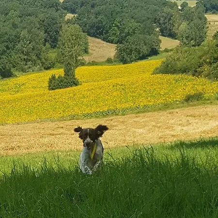 Ferme En Pleine Campagne