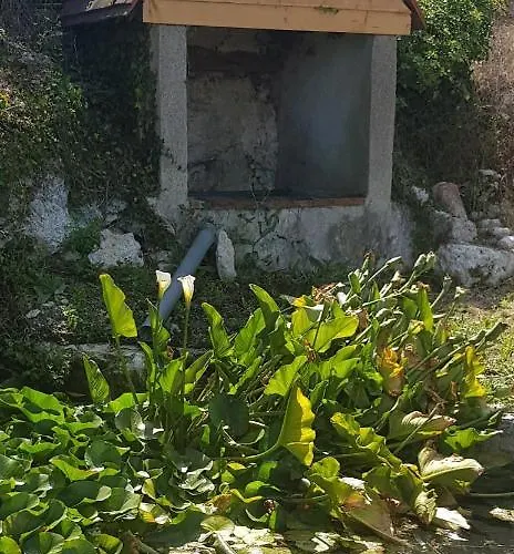 Ferme En Pleine Campagne 펜션 *