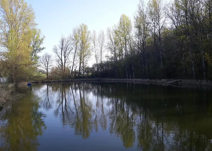 Ferme En Pleine Campagne 펜션 *