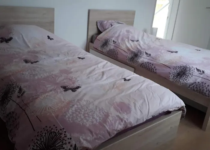 Ferme En Pleine Campagne Castelsagrat